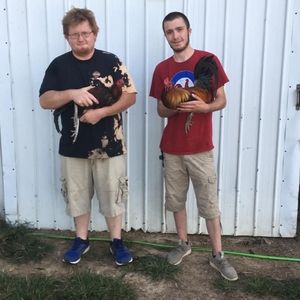 Meet your Posher, Paul